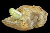 Lustrous, Yellow Apatite Crystal on Calcite - Morocco #84319-1